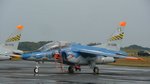 エア・フェスタ浜松2009 T-4 20周年記念塗装
