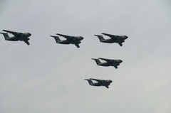 Ԋnq2011N C-1ґs 1