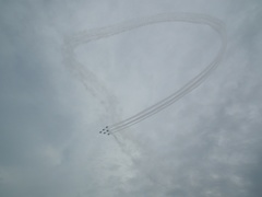 Ԋnq2011N T-4u[CpXґs 2