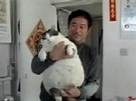 owner and cat