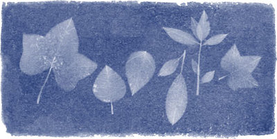 Anna Atkins' 216th Birthday Anna Atkins' 216th Birthday