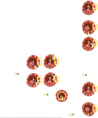 nemo12-r2anim.png