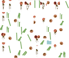 nemo12-r4anim.png
