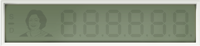 Shakuntala Devi's 84th Birthday Shakuntala Devi's 84th Birthday