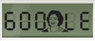 Shakuntala Devi's 84th Birthday