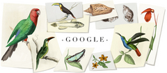 William John Swainson's 224th Birthday William John Swainson's 224th Birthday