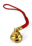 Japanese Lucky Golden Poo